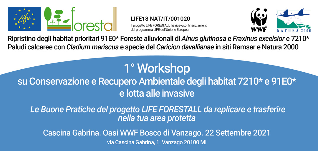 Invito al Workshop di Vanzago