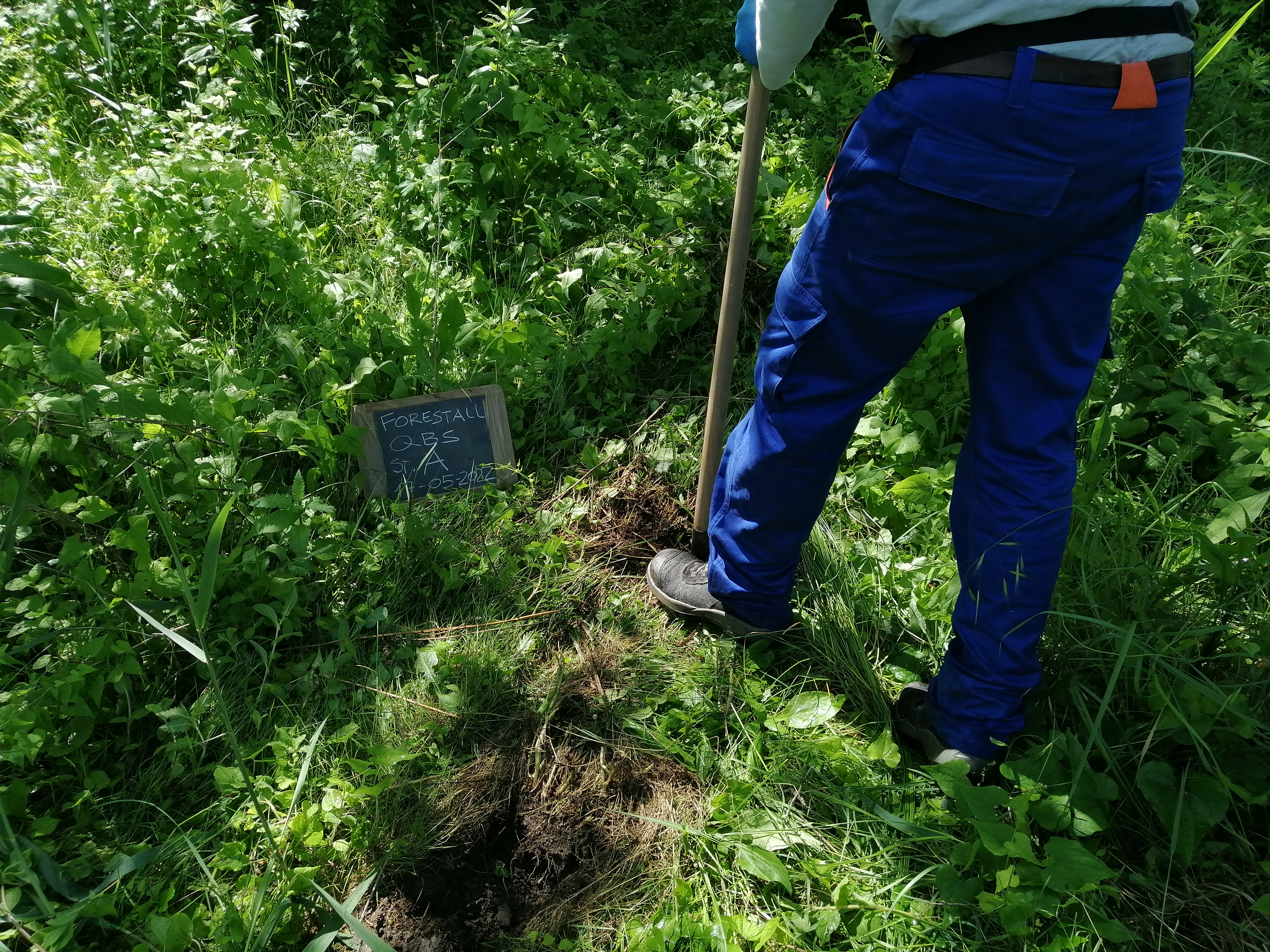 prelievo di campioni di terreno