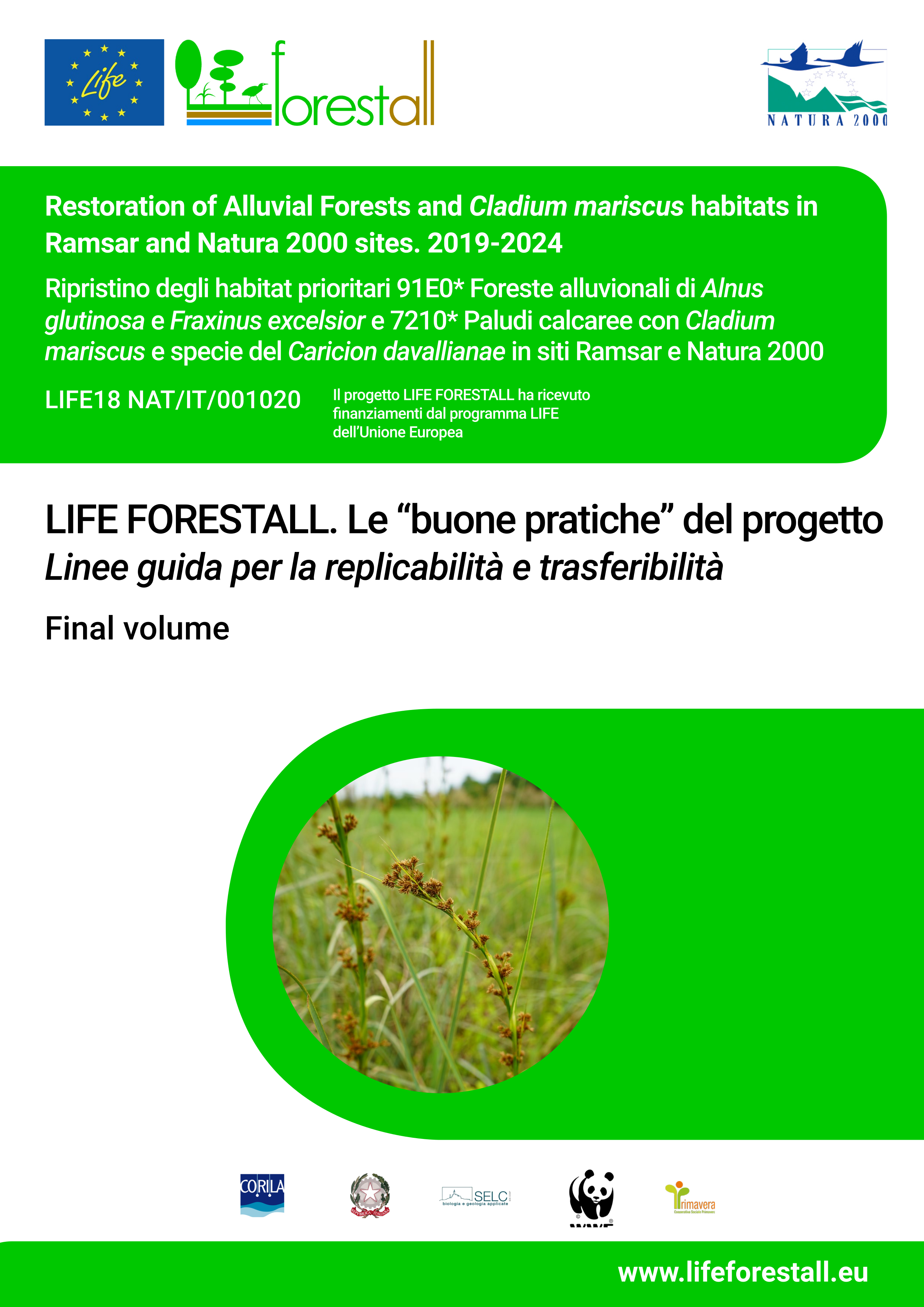 Final Volume