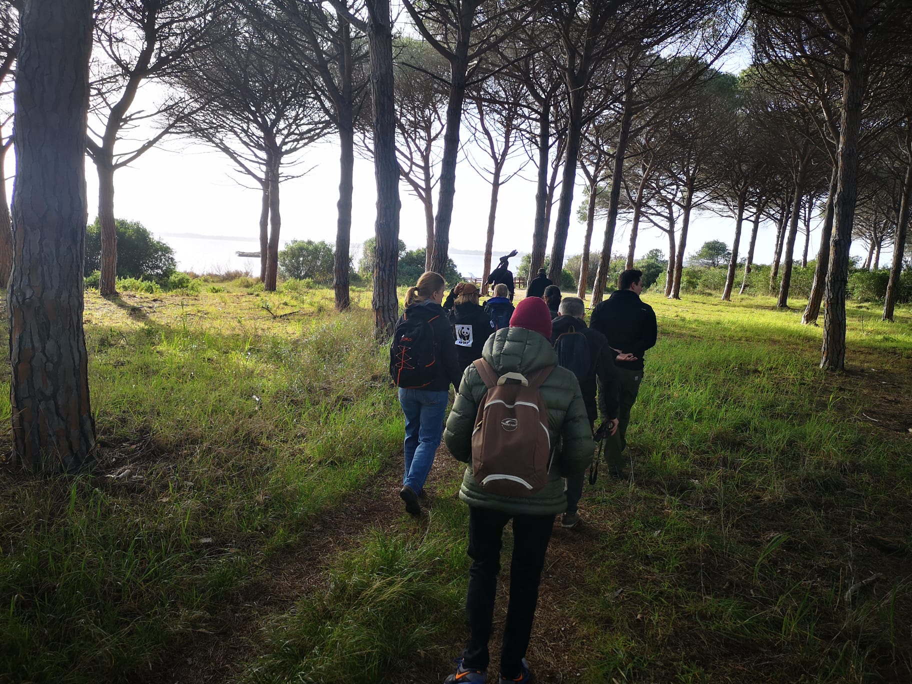 Oasi WWF di Orbetello, Bosco della Patanella