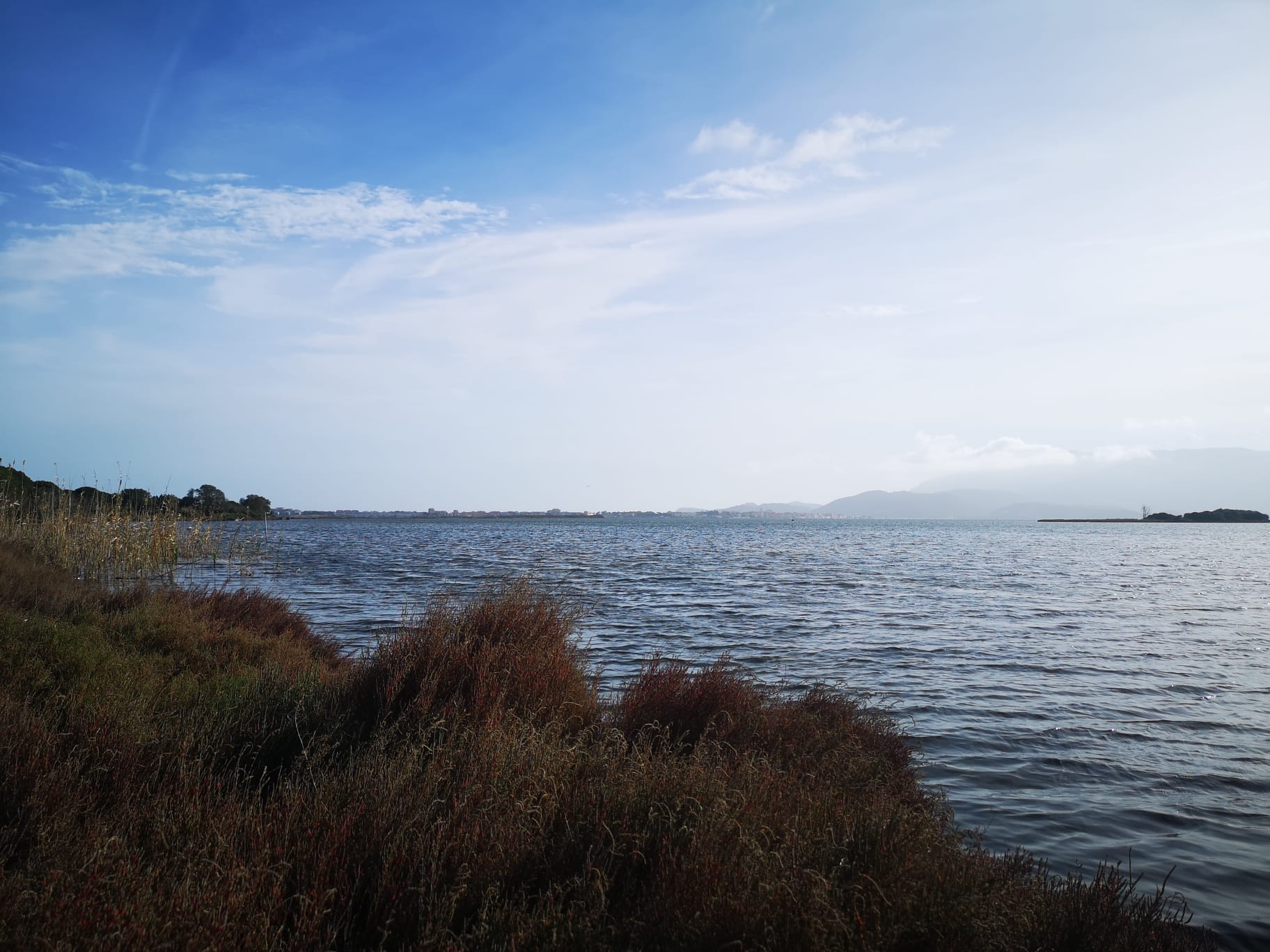 Oasi WWF di Orbetello, Bosco della Patanella