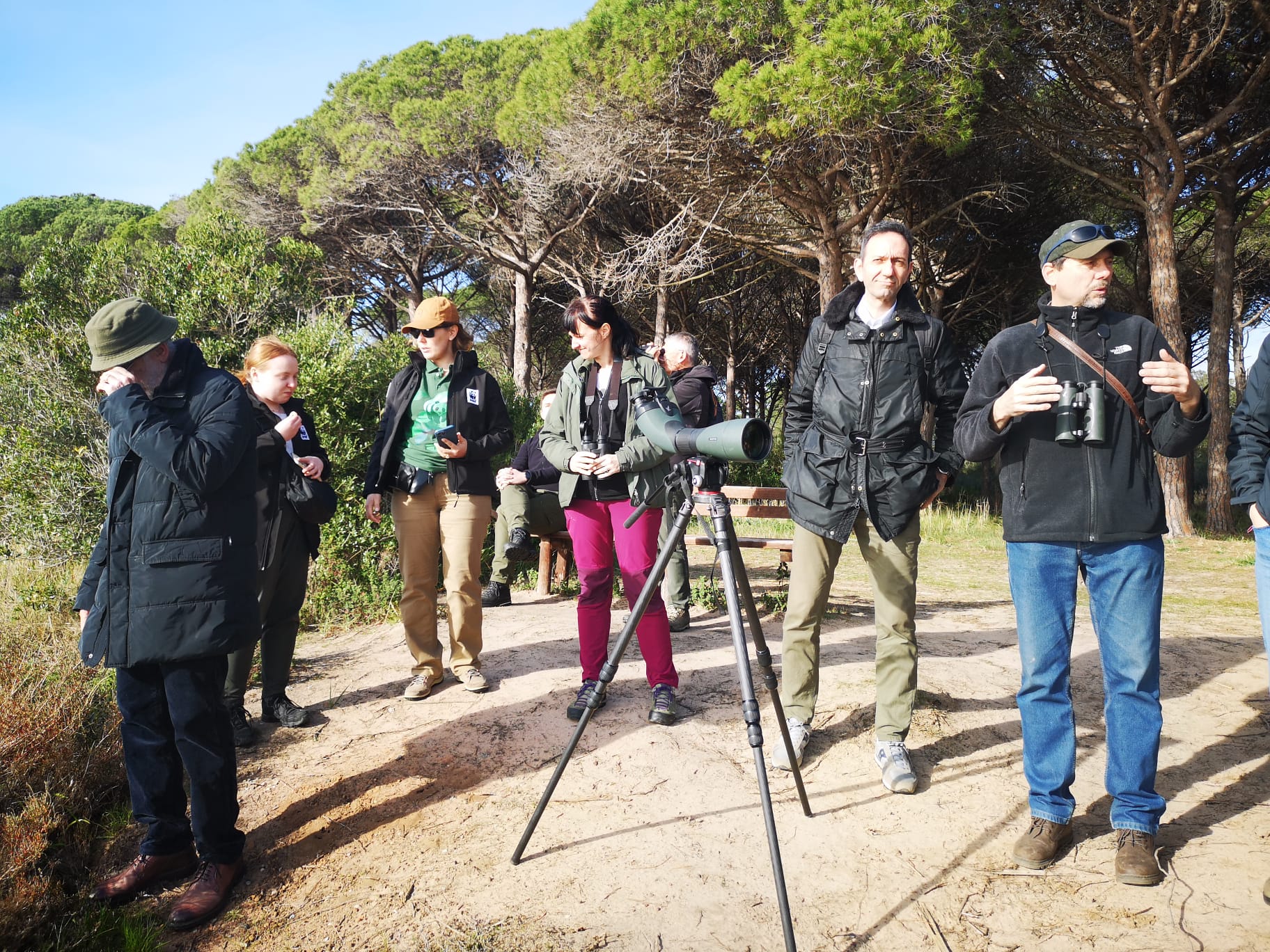 Oasi WWF di Orbetello, Bosco della Patanella