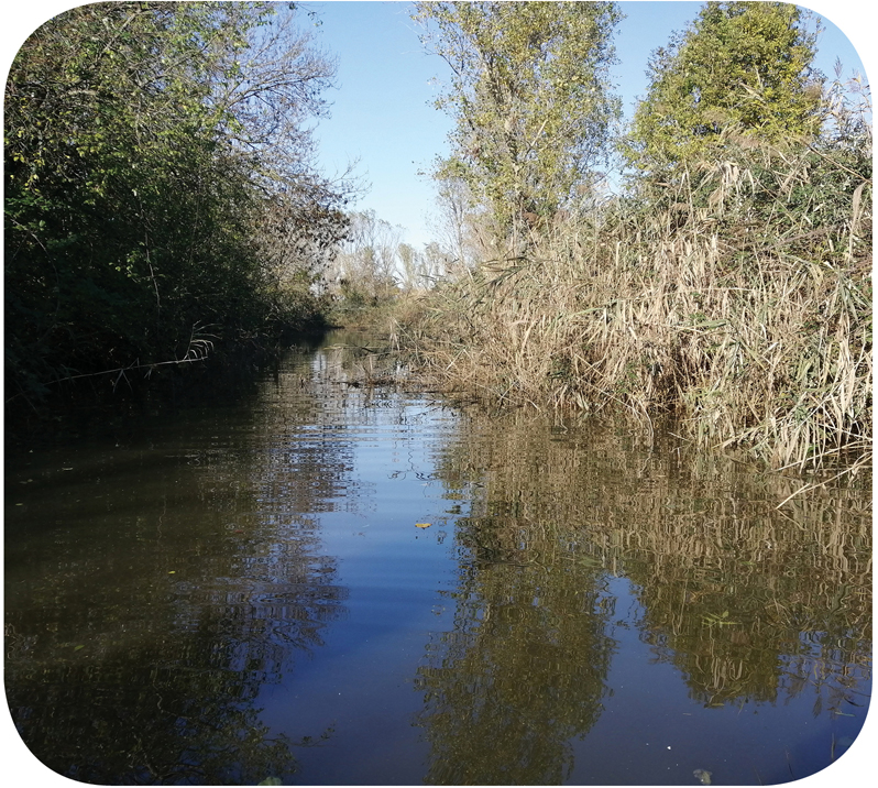 canale Oasi