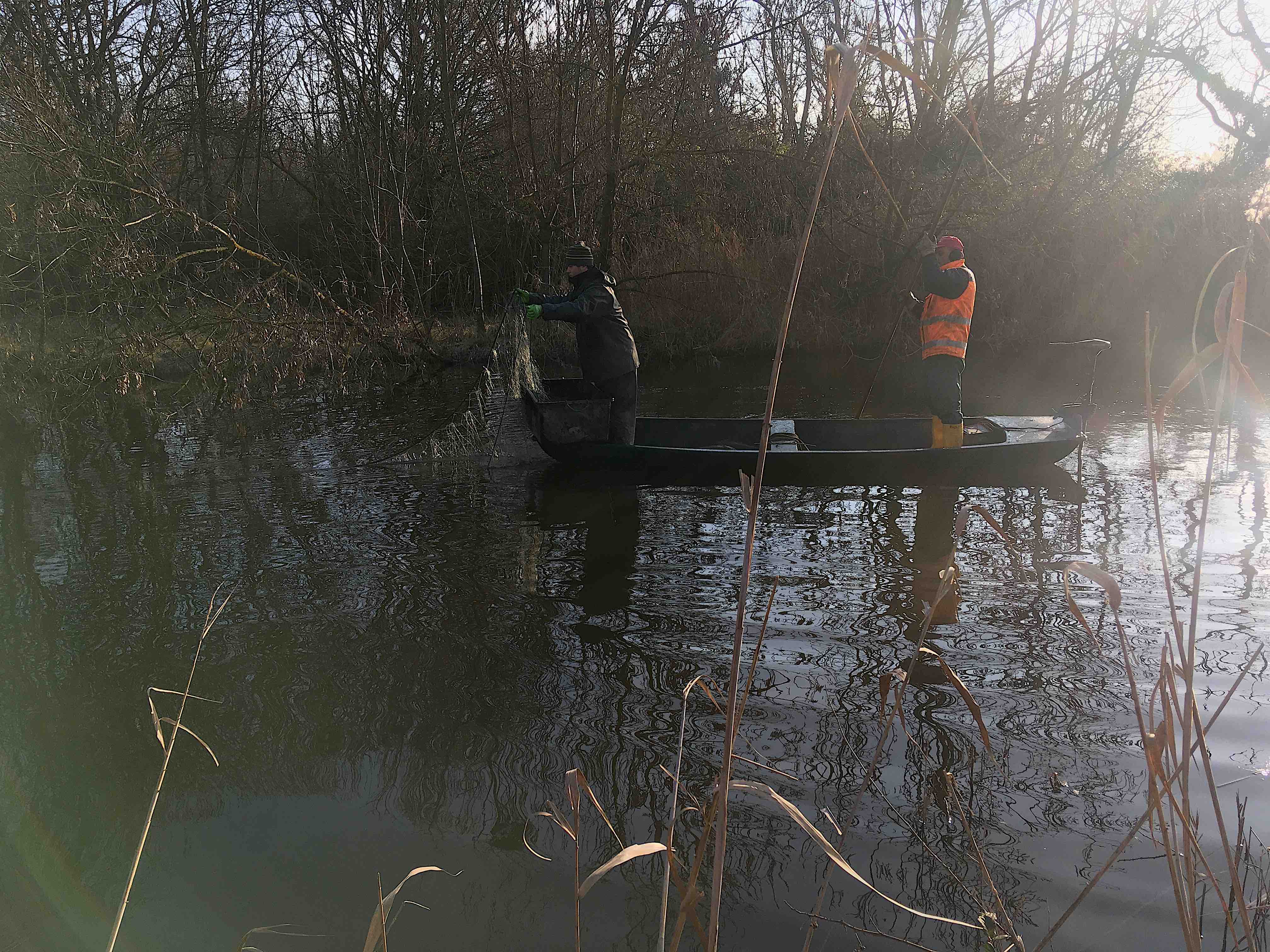 pesca al siluro