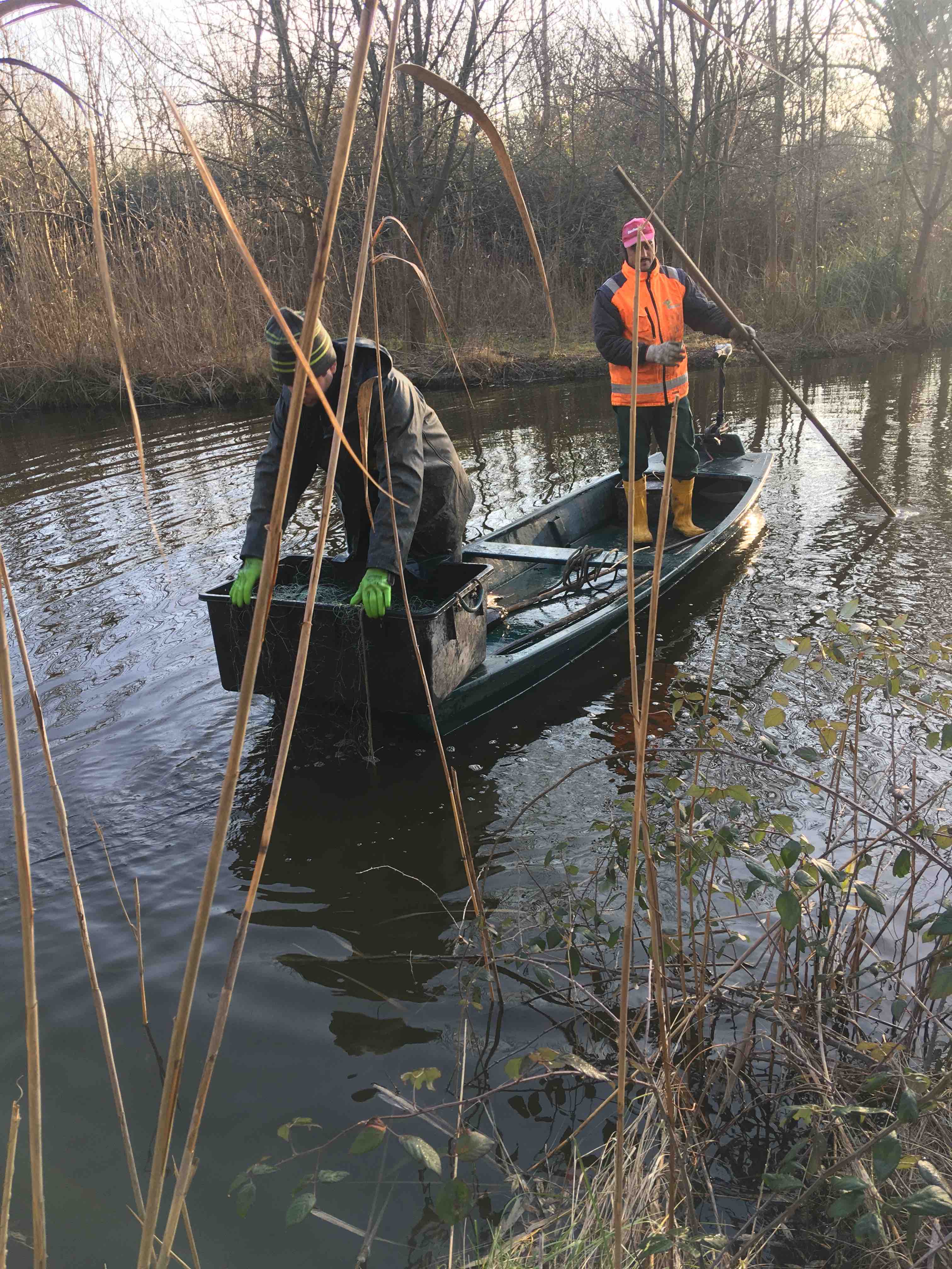 pesca al siluro