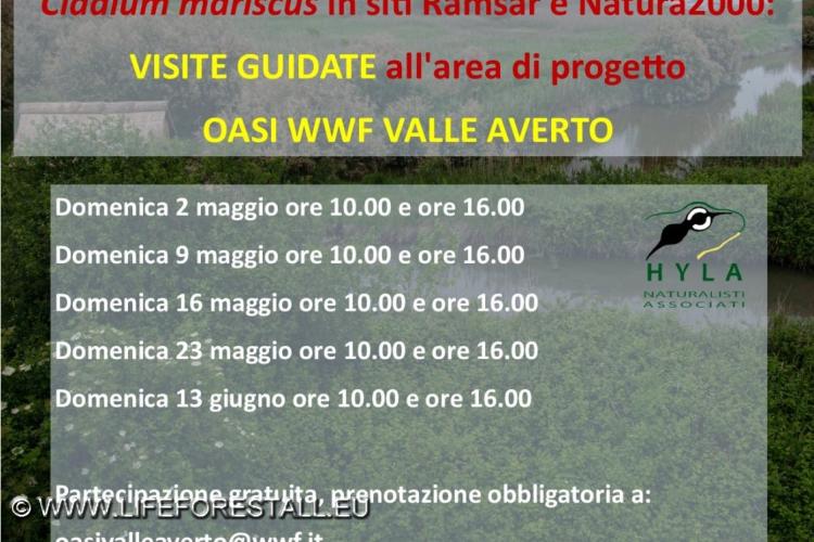 Open Days Primavera 2021