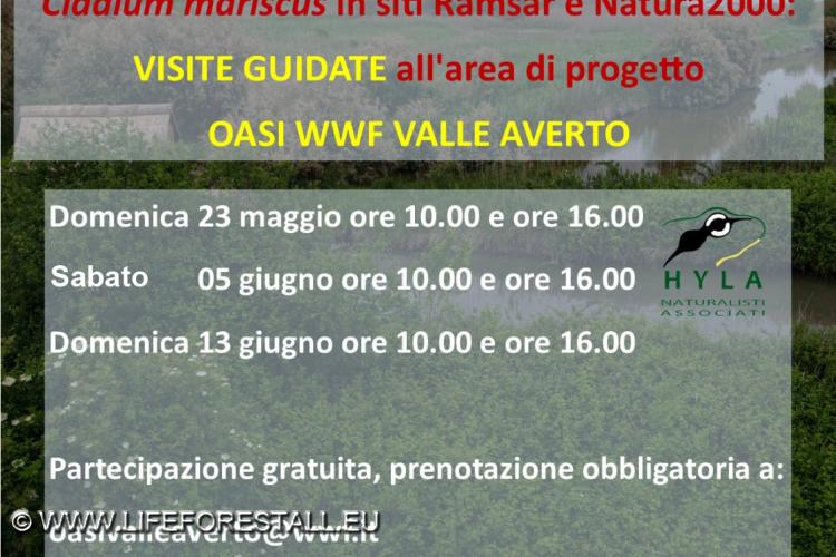 5 giugno 2021: visita guidata gratuita per la Giornata Mondiale dell’Ambiente