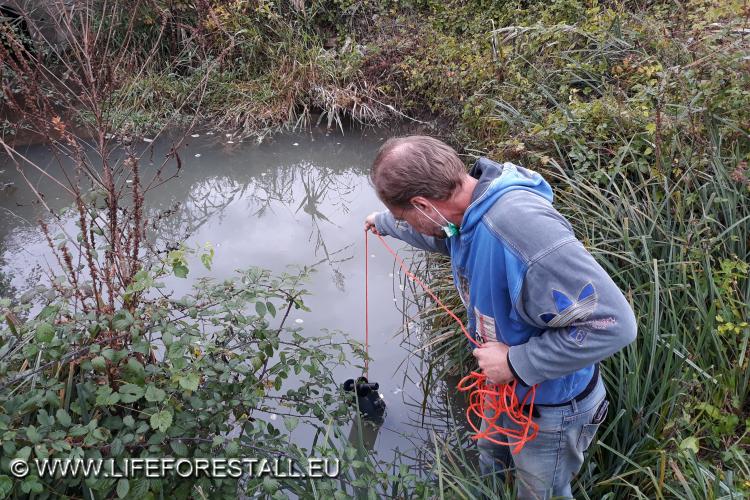 Campagna trimestrale di prelievo delle acque superficiali