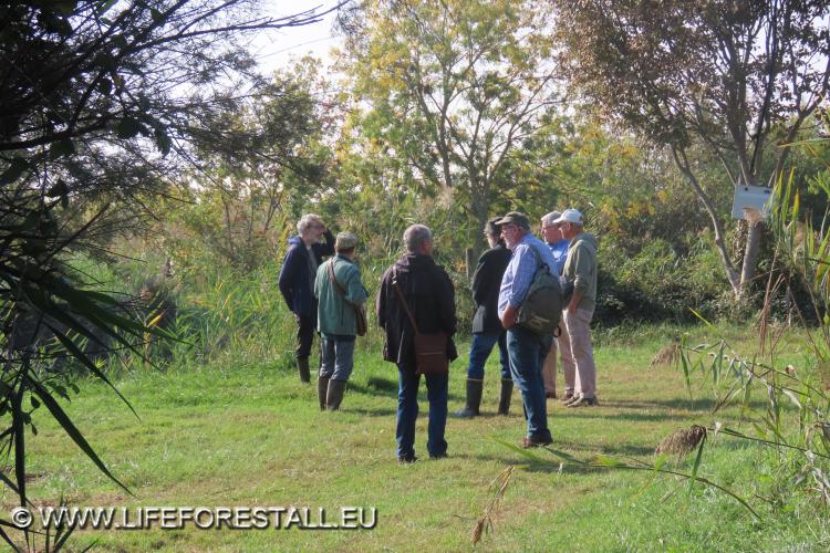 Incontro con esperti per presentare le attività svolte