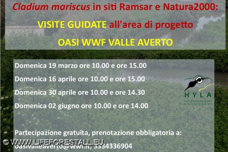 Prossimi open days primavera