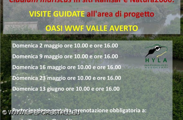 Open Days Primavera 2021