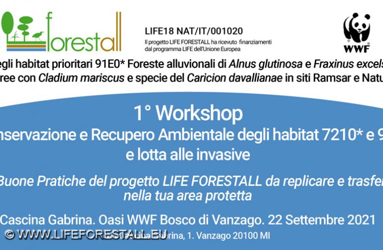 Invito al Workshop di Vanzago