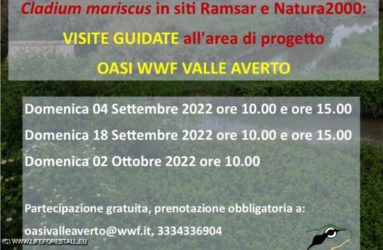 Prossimi Open Days di Settembre