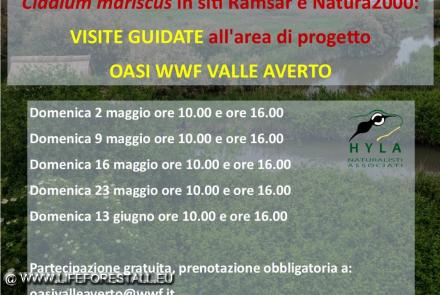 Open Days Primavera 2021