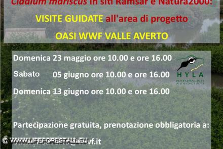 5 giugno 2021: visita guidata gratuita per la Giornata Mondiale dell’Ambiente