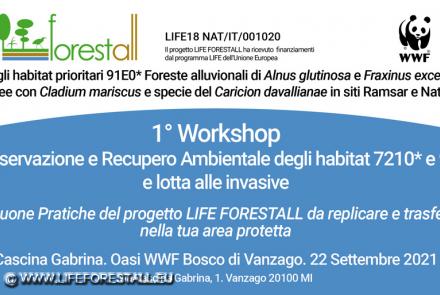 Invito al Workshop di Vanzago