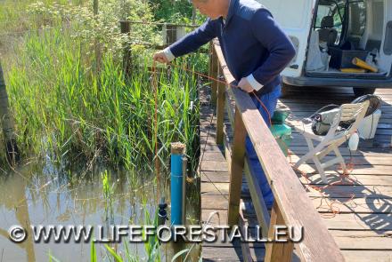 Quarterly campaign of surface water samples from 5 points 